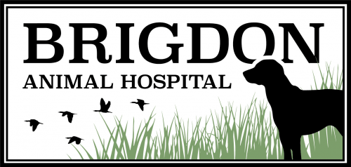 Brigdon Animal Hospital