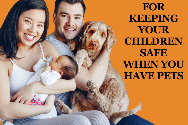 10 Tips for Keeping Your Children Safe When You Have Pets